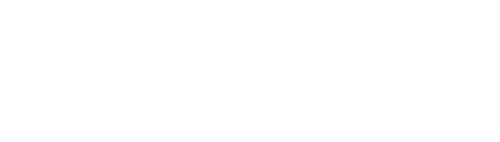 ScAINet '20